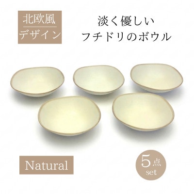 【美濃焼】淡く優しいフチドリのボウル 5点セット【山正各務陶器】 ナチュラル 北欧風 640313