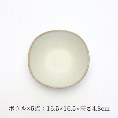 【美濃焼】淡く優しいフチドリのボウル 5点セット【山正各務陶器】 ナチュラル 北欧風 640313