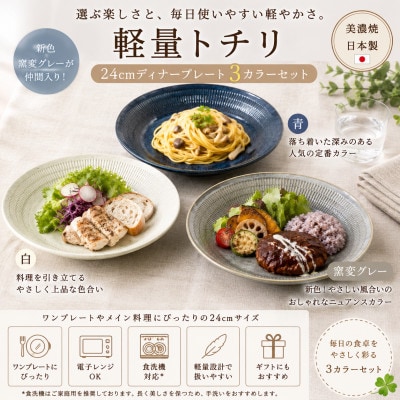 【美濃焼】軽量トチリ ディナープレート 3色セット【陶土う庵】(1054-0194)
