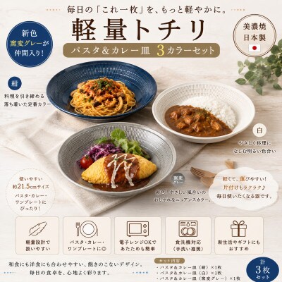 【美濃焼】軽量トチリ パスタ&カレー皿 3色セット【陶土う庵】(1054-0195)