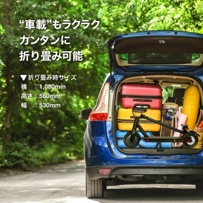 特定小型原付 RICHBIT ES1 Pro 4色から選べる 【Acalie】 電動キックボード