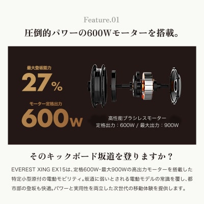 2色から選べる 特定小型原付 EVEREST XING EX15 【Acalie】