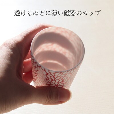 【美濃焼】CHITOSE スリム カップ ペアセット