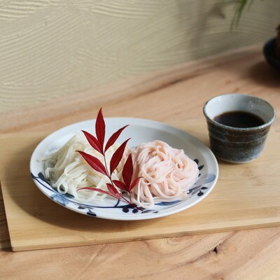【美濃焼】Oriental Flower ペアディナープレート中皿 レトロな和食器