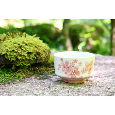 【美濃焼】 和心 舞桜 抹茶碗