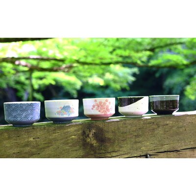 【美濃焼】 和心 舞桜 抹茶碗