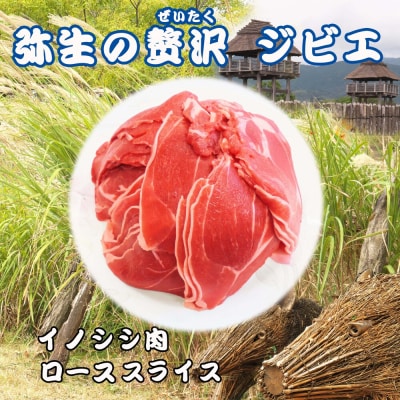 【定期便6回】脊振ジビエ イノシシ肉(ローススライス)800g (H072123)