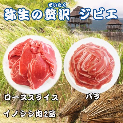【定期便6回】脊振ジビエ イノシシ肉(ロース バラ)2品詰合せ800g (H072126)