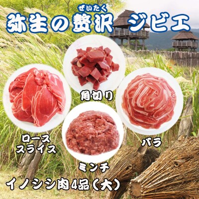 定期便6回 脊振ジビエ イノシシ肉(ロース バラ 角切り ミンチ)詰合せ(大) (H072132)