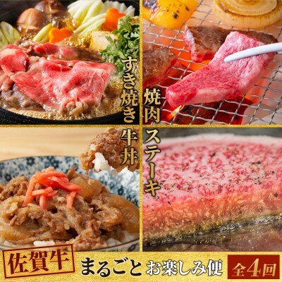 【4回定期便】 佐賀牛 まるごと欲張り お楽しみ便(合計3kg)(H085146)