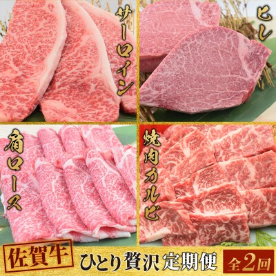 【2回定期便】 佐賀牛 ひとりで贅沢 お楽しみ便 (合計1.15kg)(H085148)