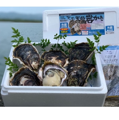 熊本県産　福島水産の天草天領岩かき 2.5kg
