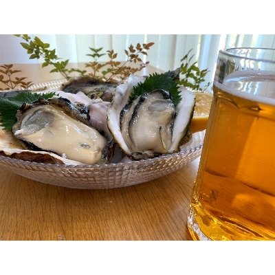 熊本県産　福島水産の天草天領岩かき 5kg