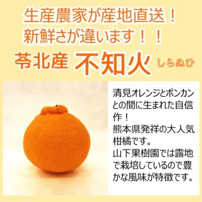 不知火(しらぬい)　約4kg