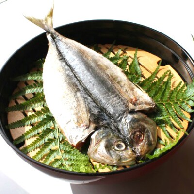 天草の塩と太陽と風が仕上げた魚の干し物