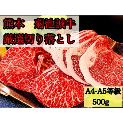 熊本県産 菊池誠牛【厳選部位】(ウデ・モモ・バラ)切り落とし 500g