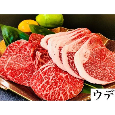 熊本県産 菊池誠牛【厳選部位】(ウデ・モモ・バラ)切り落とし 500g