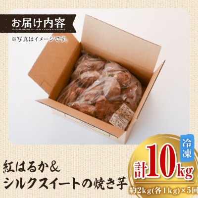 紅はるかとシルクスイートの焼き芋セット【全5回定期便】　D14013