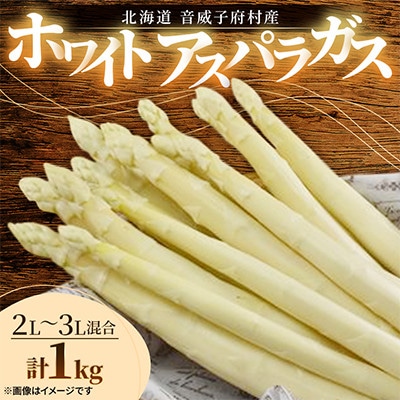 【北海道音威子府村】先行予約　2027年4月中旬発送　ホワイトアスパラガス1kg(2L～3Lサイズ)