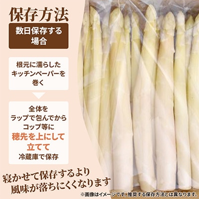 【北海道音威子府村】先行予約　2027年4月中旬発送　ホワイトアスパラガス1kg(4Lサイズ)