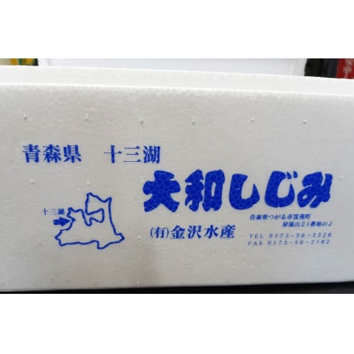 十三湖産 冷凍 ヤマトシジミ 大 1kg [0555]