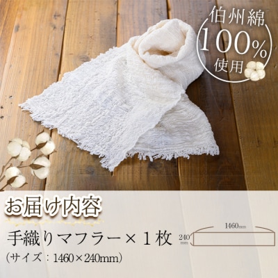 伯州綿マフラー