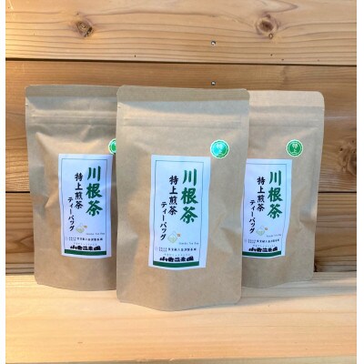 川根本町産 お気軽マグで楽しむ　本格川根銘茶 特上川根茶ティーバッグセット　10-48