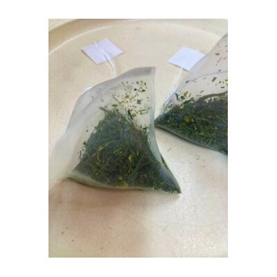 川根本町産 お気軽マグで楽しむ　本格川根銘茶 特上川根茶ティーバッグセット　10-48