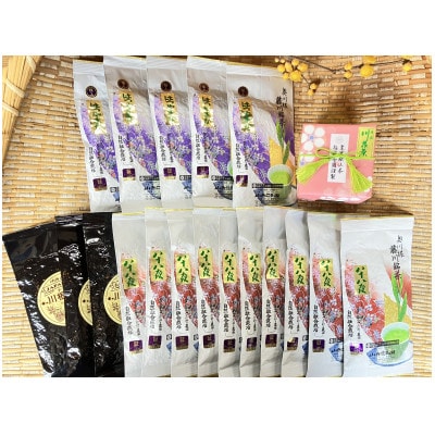 川根本町産 川根銘茶 通もうなずくバラエティに富んだセット　99-1