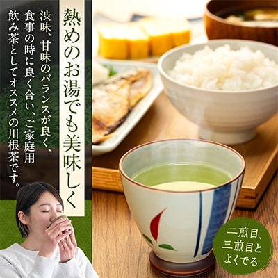 【坂本園】静岡川根茶 自家用煎茶500g