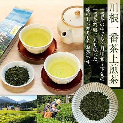 【坂本園】静岡川根上煎茶200g×3本