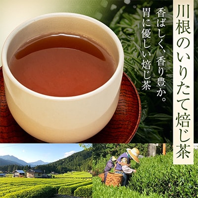 【坂本園】いりたて焙じ茶 紐付きティーバッグ5袋