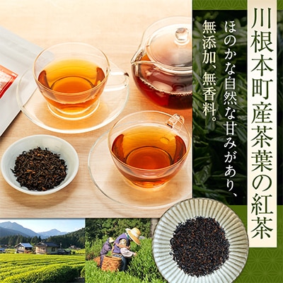 【坂本園】川根紅茶 紐付きティーバッグ5袋