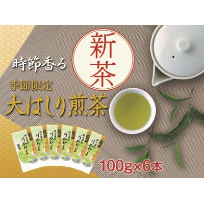 坂本園の新茶 静岡川根茶大走り新茶100g×6本【5月上旬～6月末発送】