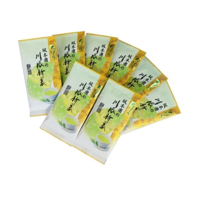 坂本園の新茶 静岡川根茶大走り新茶100g×8本【5月上旬～6月末発送】