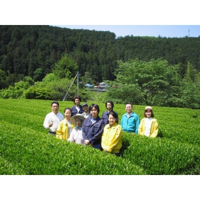 坂本園の新茶 静岡川根茶大走り新茶100g×8本【5月上旬～6月末発送】