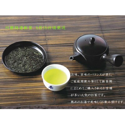 坂本園の新茶 静岡川根茶　100g×5本【5月中旬～6月末発送】