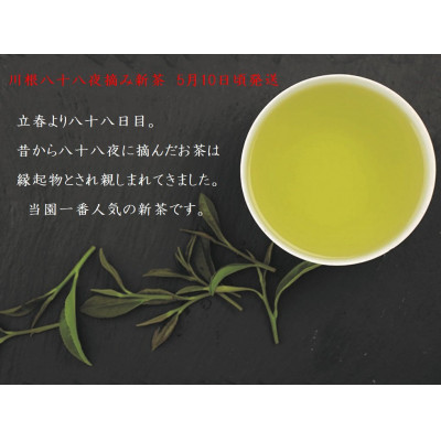 坂本園の川根新茶　静岡川根茶八十八夜摘み煎茶100g×12本【5月上旬～6月末発送】