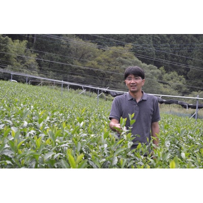 相藤農園の川根茶 一番摘み100g袋3本 | 静岡県川根本町