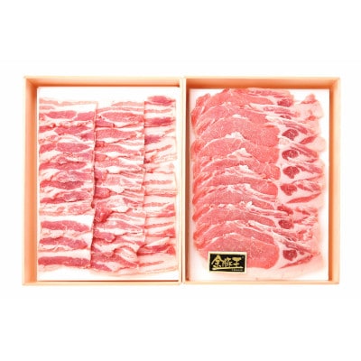 【吉田町・川根本町共通返礼品】金豚王焼肉セット付き三ツ星オートキャンプ場宿泊券