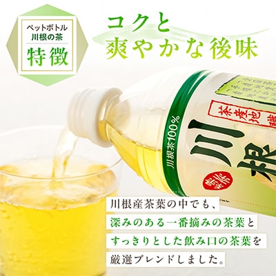「川根の茶」ペットボトル500ml×24本入り