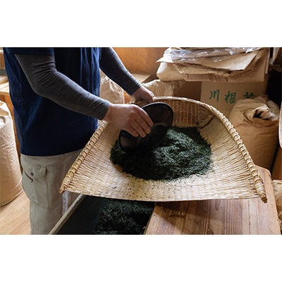 2023年4月発送開始『定期便』「川根の茶」ペットボトル500ml×24本入り全12回