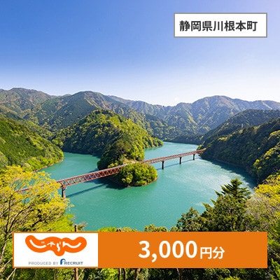 【じゃらんふるさと納税クーポン】 静岡県川根本町でつかえる3,000円 クーポン