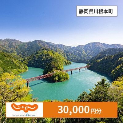 【じゃらんふるさと納税クーポン】 静岡県川根本町でつかえる30,000円 クーポン