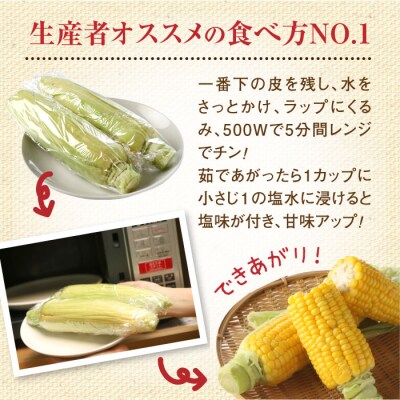 朝どり スイートコーン 25本 北海道産 とうもろこし ふるさと納税 恵庭市【31000101】