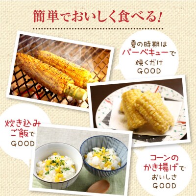 朝どり スイートコーン 25本 北海道産 とうもろこし ふるさと納税 恵庭市【31000101】