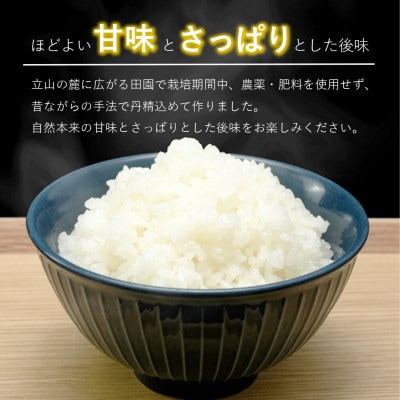【令和7年産】精米 ヘルジアンウッド米 10kg 富山県産コシヒカリ