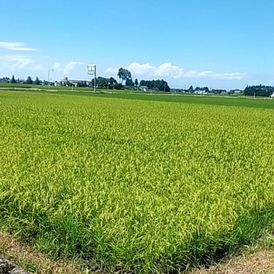 富山県立山町産　こしひかり　1kg×3袋