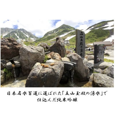 純米吟醸 大星夜 720ml×1本