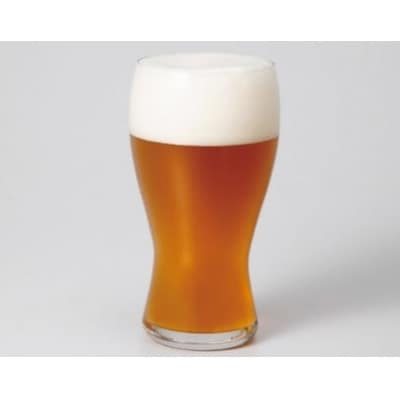 立山地ビール「星の空PREMIUM」330ml×24本セット